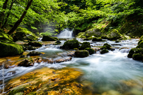 Flowing River Through Lush Green Forest with Mossy Rocks Landscape