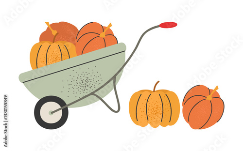 Wheelbarrow with pumpkin harvest. Harvesting.