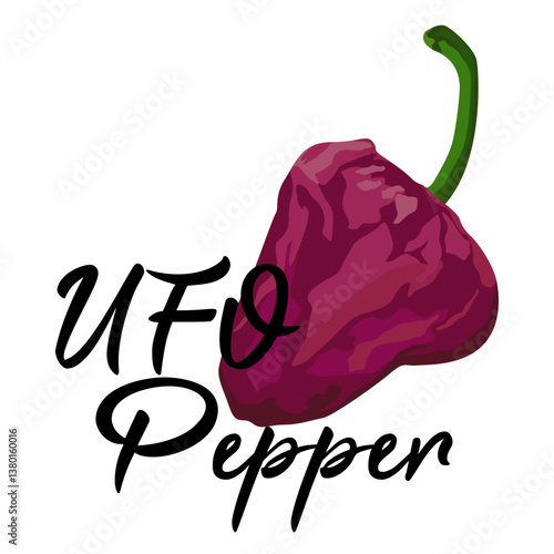 Purple UFO Pepper illustration.