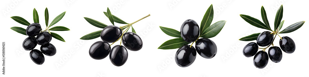 Black olives with green leaves on branch Black olives with green leaves on branch