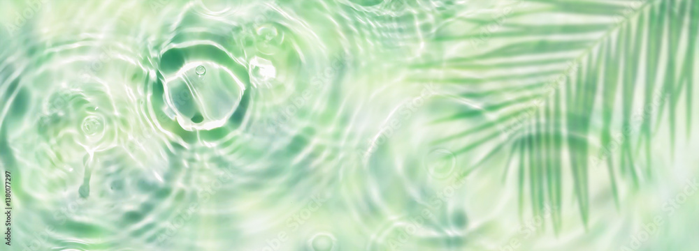 Fototapeta premium fresh light green water surface with drop circles and palm leaf shadow from above, abstract sunny liquid background banner for beach holiday, beauty spa or body care