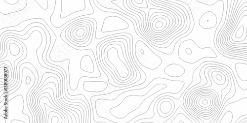 Abstract vector Modern topo map design White background with topographic world grid wave Topographic map geographic line texture.	
