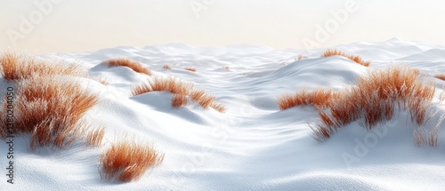 PNG Snow in oasis desert landscape nature ground environment.