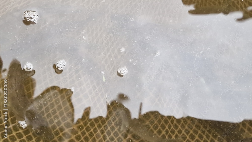 process of releasing juvenile pikeperch (Sander lucioperca) into natural waters to support fish populations and fisheries. This practice helps enhance stocks, improve biodiversity, and sustain ecosyst