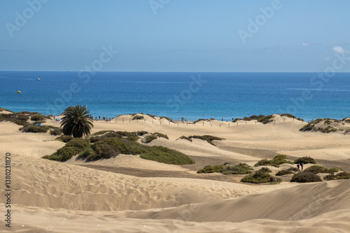 Fototapeta Naklejka Na Ścianę i Meble -  Sand dunes and Atlantic ocean, Gran Canaria, Spain