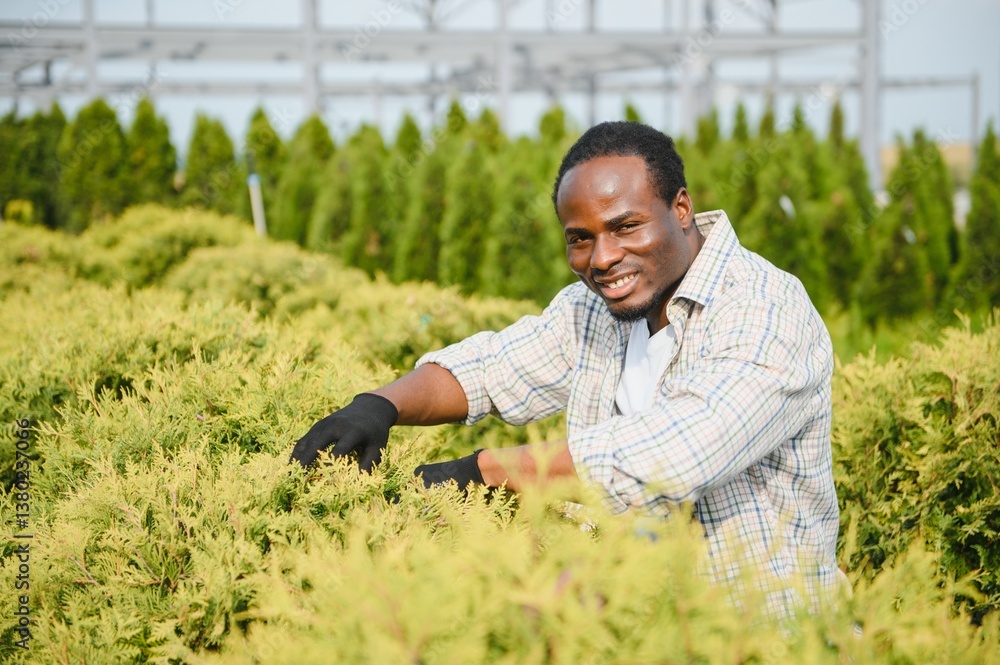A young african american gardener cuts a tree with scissors. Gardening and tree shop concept A young african american gardener cuts a tree with scissors. Gardening and tree shop concept