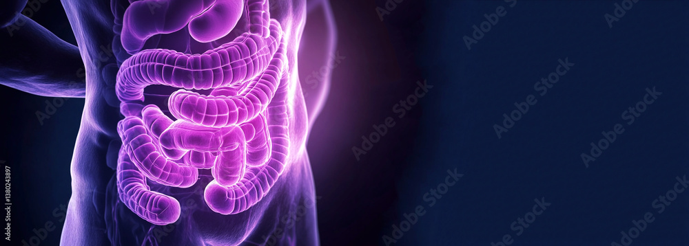A health and digestion concept featuring the human gut and intestines, possibly with a glowing digestive tract illustration over a person abdomen