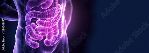 Obraz na płótnie A health and digestion concept featuring the human gut and intestines, possibly with a glowing digestive tract illustration over a person abdomen w salonie