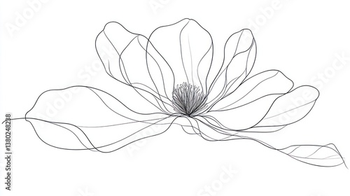 Elegant Line Art Magnolia Flower