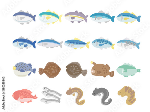 魚  種類  イラストセット