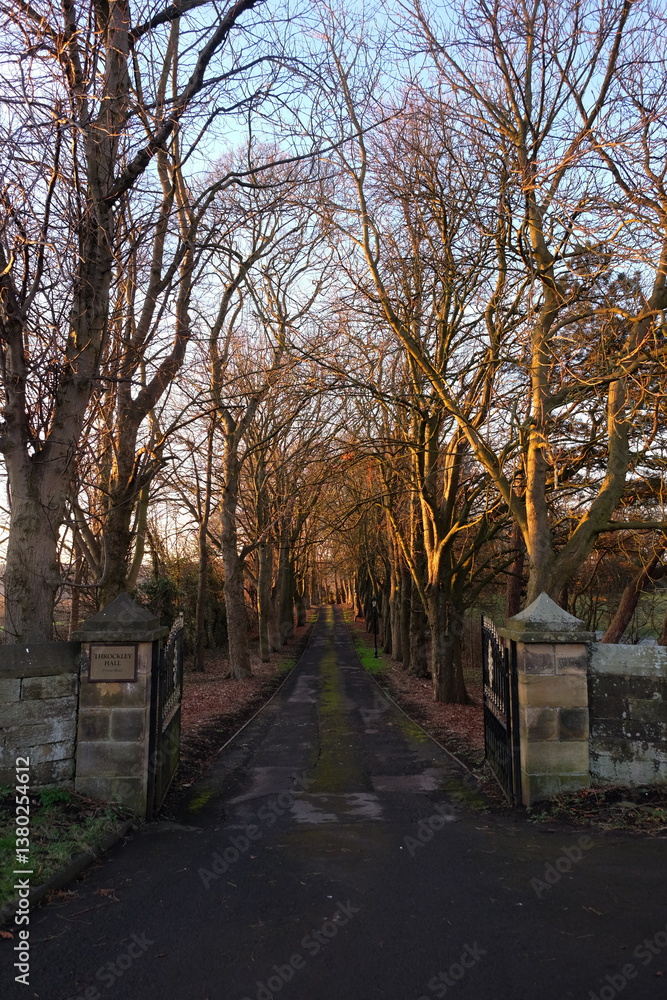 Throckley Newcastle UK: 16th Jan 2025: The grand treelined entrance to Throckley Hall on sunny winter morning