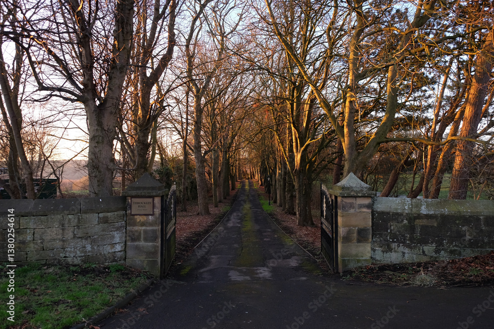 Throckley Newcastle UK: 16th Jan 2025: The grand treelined entrance to Throckley Hall on sunny winter morning