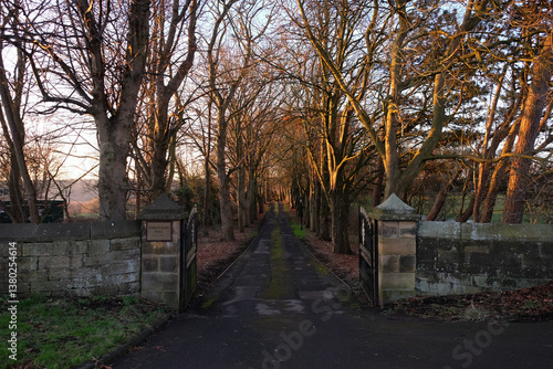 Obraz na płótnie Throckley Newcastle UK: 16th Jan 2025: The grand treelined entrance to Throckley Hall on sunny winter morning w salonie