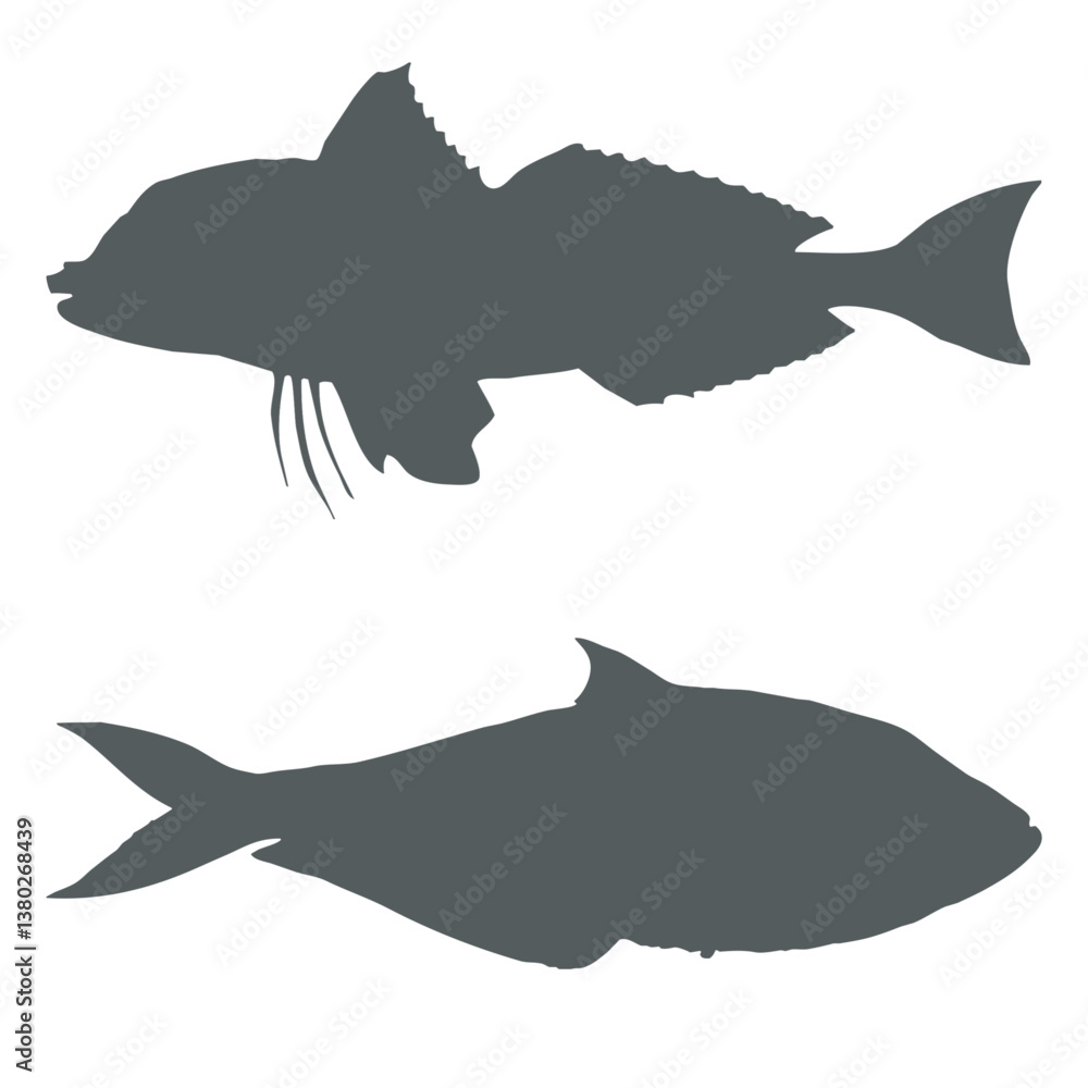 silhouette of fishs silhouette of fishs