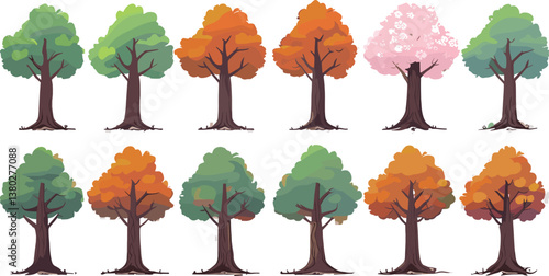 Different trees set with summer green, autumn orange foliage, spring pink blossom. Simple drawn illustrations of forest wood.