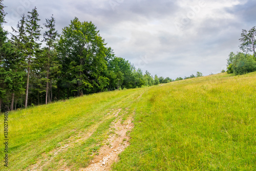 Obraz na płótnie path through forest on grassy hills in summertime. lush ecosystem. beautiful nature in mountain scenery. concept of outdoor adventure on a cloudy day w salonie