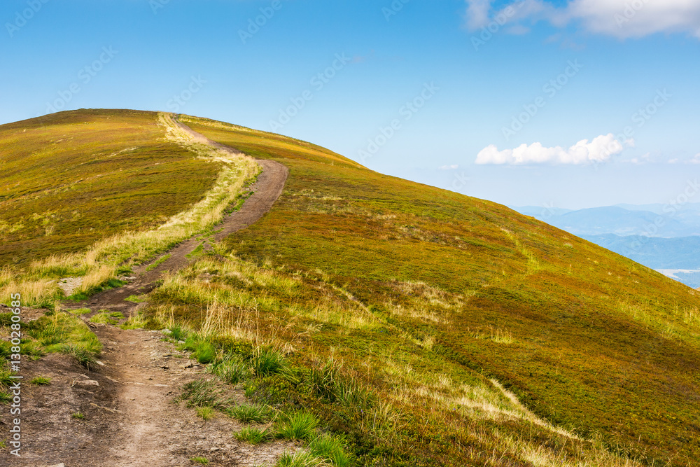 path up the steep hill. carpathian mountain landscape in summer. grassy alpine scenery of ukrainian highlands on a sunny day with fluffy clouds on the blue sky. hard way to success concept