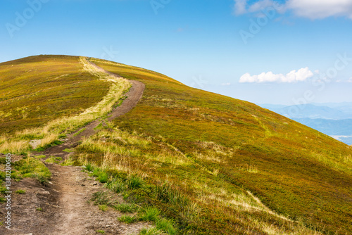 Obraz na płótnie path up the steep hill. carpathian mountain landscape in summer. grassy alpine scenery of ukrainian highlands on a sunny day with fluffy clouds on the blue sky. hard way to success concept w salonie
