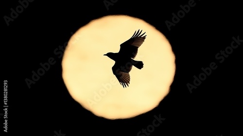 A black bird silhouetted soaring across a glowing light source
