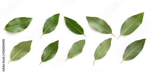 A collection of bay leaves arranged neatly, showcasing their vibrant green colors and distinct shapes against a white background.