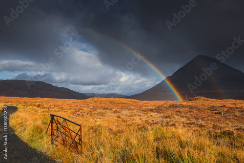 Obraz na płótnie The Isle of Skye’s autumn landscapes blend golden moors, misty peaks, and rugged coastlines. A land of dramatic beauty, where nature’s wild spirit thrives. w salonie