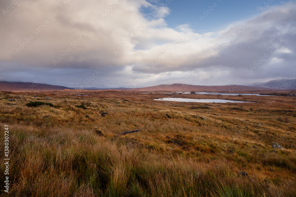 Golden heather blankets the Scottish Highlands, where misty peaks rise above deep glens and serene lochs. Autumn’s glow paints a landscape of wild, untamed beauty.