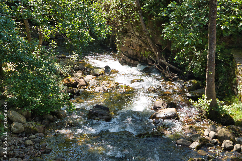 Bed of the Argoza river with small waterfalls and currents between the stones, which is a tributary of the Saja river whose waters run through the town of Bárcena Mayor, within a natural park. Bed of the Argoza river with small waterfalls and currents between the stones, which is a tributary of the Saja river whose waters run through the town of Bárcena Mayor, within a natural park.