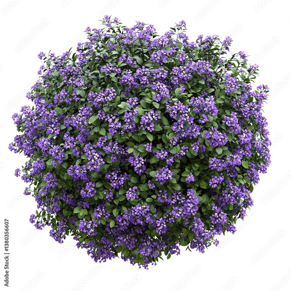 Obraz premium Purple Flower Shrubbery Isolated on White Background (PNG)