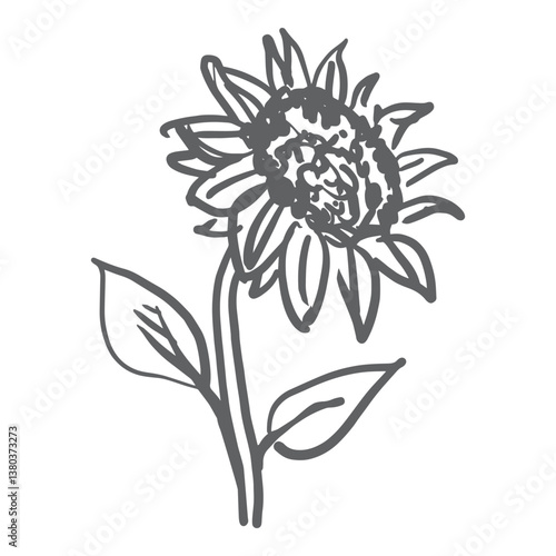 Sketch sunflower hand drawn vector illustration isolated white background