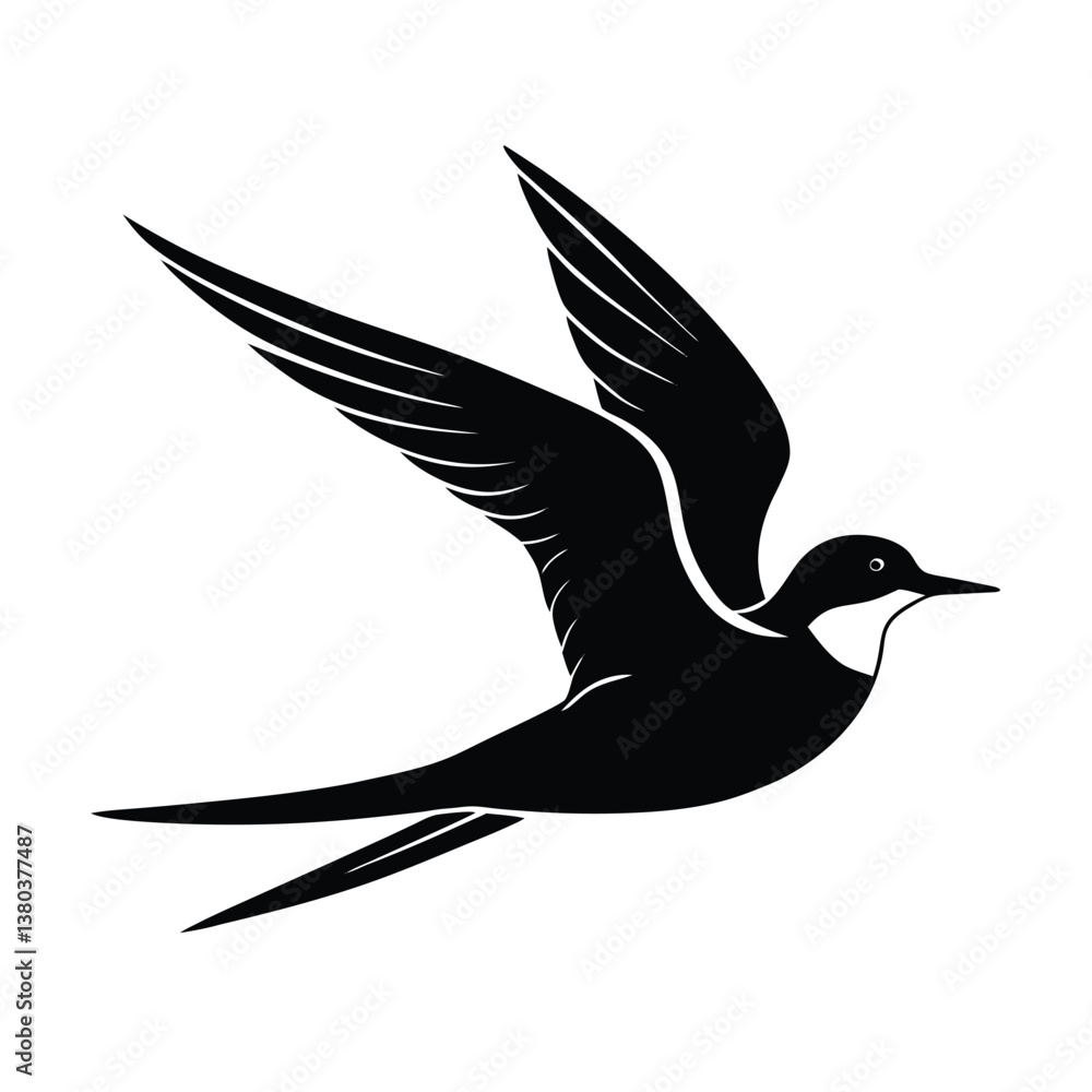 Fototapeta premium Silhouette of a Flying Bird.