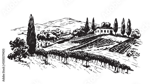 Vineyard landscape with mountains and building on the hill.	
