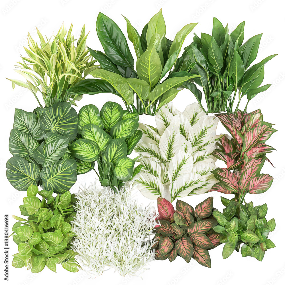 Obraz premium Diverse collection of plants displaying varied textures and colors perfect for nature lovers against a transparent background