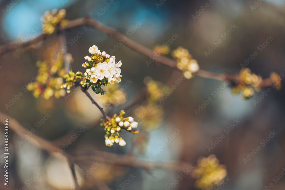 Blossoms unfurling on branches in a serene garden during the vibrant spring season, showcasing nature's delicate beauty and renewal of life. Blossoms unfurling on branches in a serene garden during the vibrant spring season, showcasing nature's delicate beauty and renewal of life.