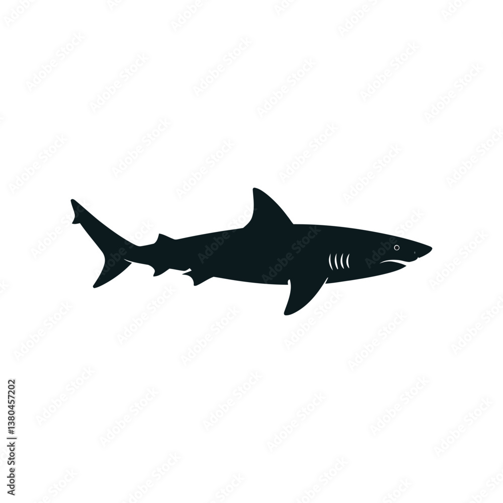 Fototapeta premium shark vector illustration