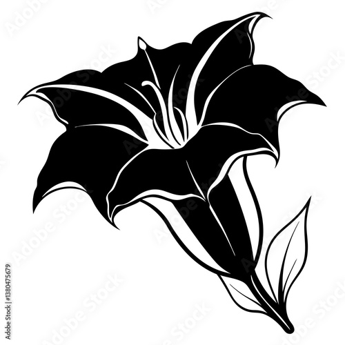 datura flower black flower in white background