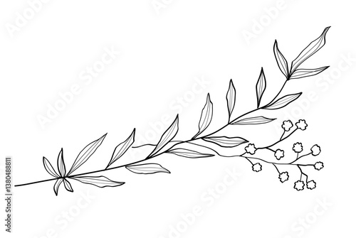シンプルな植物の線画イラスト　黒　ベクター
