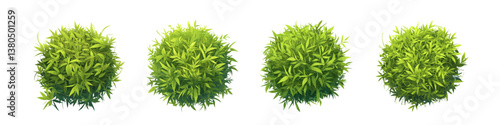 Lush Green Topiary Shrubs Vector Illustration Set. Set of four lush green spherical topiary shrubs with vibrant leaves, isolated on a white background. Ideal for gardening themes, botanical designs