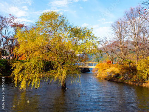 Autumn Japan. City of Kofu....