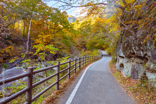 Republic of Japan. Kofu par...