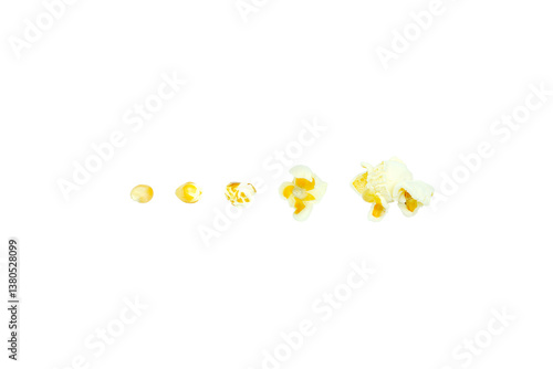 Popcorn kernel, cracking process isolated on transparent background. Png and Jpeg image