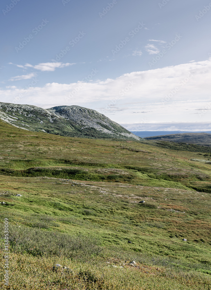 Vibrant green tundra landscape at Molnet Nipfjället Mountain in Idre Dalarna, Sweden, enjoying the serene summer beauty of the Nordic wilderness with many hiking trails Vibrant green tundra landscape at Molnet Nipfjället Mountain in Idre Dalarna, Sweden, enjoying the serene summer beauty of the Nordic wilderness with many hiking trails