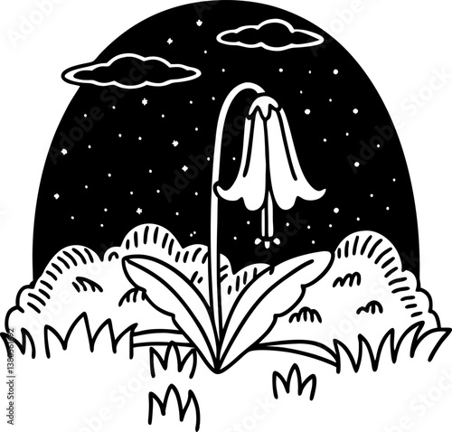 Nighttime blossom blooming bellflower under starlit sky, clouds nature, tranquility, monochrome illustration.