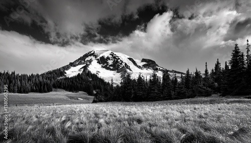 black and white photography of a snow capped mountain with forest and grass field in minimalist scenic landscape under dramatic sky
