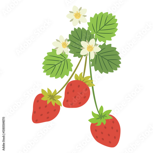 いちご3個と葉と花