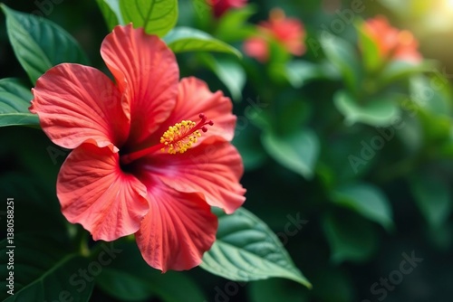 Wallpaper Mural Bold tropical hibiscus, vibrant colors, lush foliage, bloom, repeat Torontodigital.ca