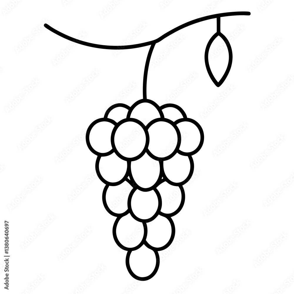 Grapevine with hanging grapes line art illustration Grapevine with hanging grapes line art illustration