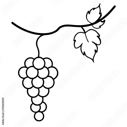 Grapevine with hanging grapes line art illustration