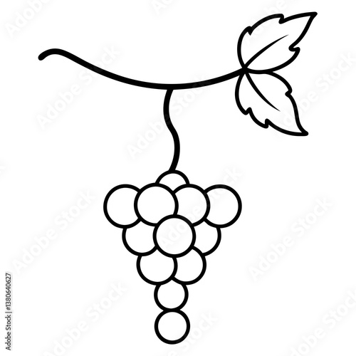 Grapevine with hanging grapes line art illustration
