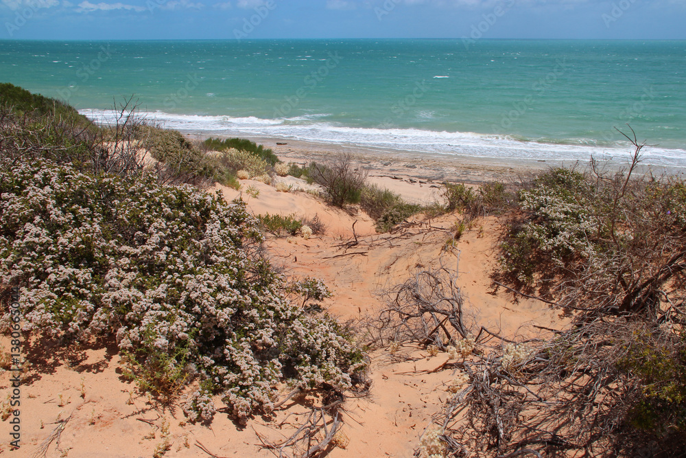 indian ocean at the françois péron national park at shark bay in australia
