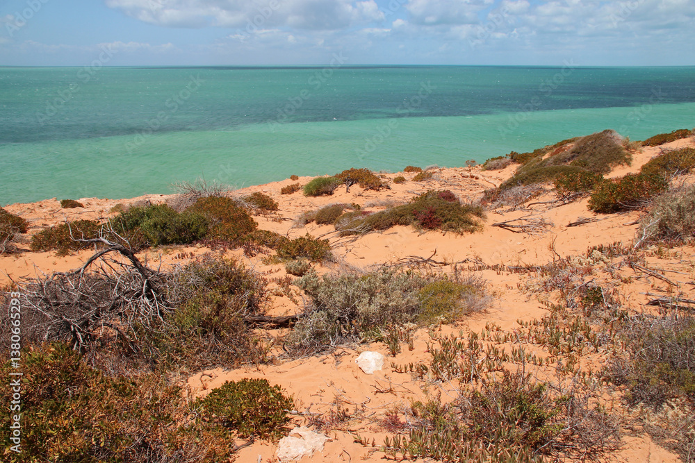 indian ocean at the françois péron national park at shark bay in australia